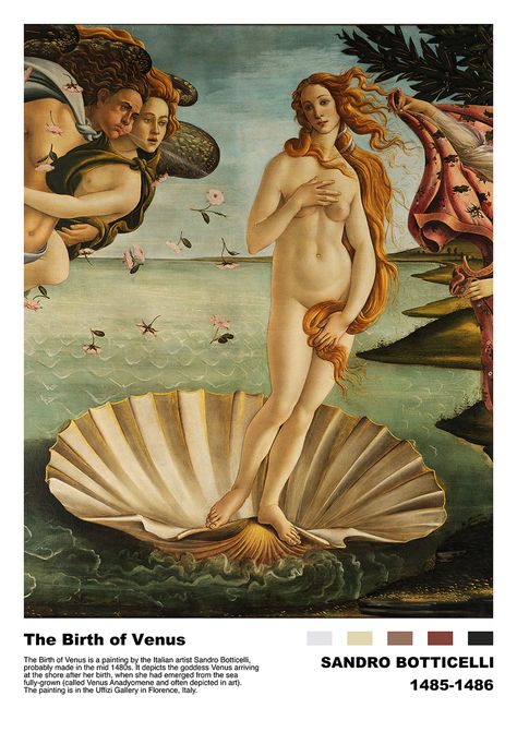 Aphrodite Painting, Aphrodite Art, Venus Painting, Art History Timeline, Aphrodite Aesthetic, Aphrodite Goddess, Nude Artwork, Birth Of Venus, Sandro Botticelli