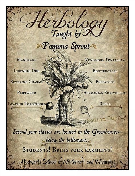 Herbology Print, Professor Sprout, Harry Potter Herbology, Hogwarts Christmas, Harry Potter Printables, Harry Potter Classroom, Harry Potter Bedroom, Festa Harry Potter, Theme Harry Potter