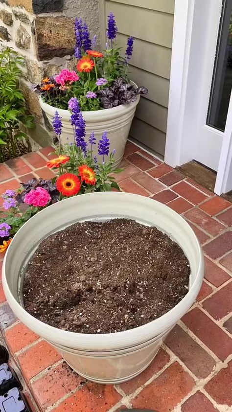 Just making the porch look snazzy! #pottingplants #springflowers #garden #gardening #lifeatthenest #gardenideas #gardeninglove #gardeningtips #gardenlover #gardeninspo #gardenlovers #gardenstyle | Eco Garden | Eco Garden · Original audio Patio Flower Pots, Front Porch Flowers, Patio Flowers, Porch Flowers, Eco Garden, Container Garden Design, Potted Plants Outdoor, Front Yard Garden Design, Container Gardening Flowers