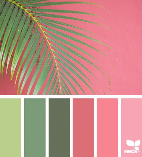 Color Frond | design seeds | Bloglovin’ Flamingo Color Palette, Pink Green Color Palette, Pink And Green Color Palette, Rainbow Color Palette, Flamingo Color, Seeds Color, Paint Color Schemes, Color Schemes Colour Palettes, Summer Color Palette