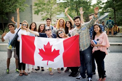 At these Canadian colleges, students benefit from a close-knit student community and supportive staff and faculty. Migrate To Canada, Canadian Universities, University Of Alberta, Health Insurance Coverage, Permanent Residence, World Population, University Of Toronto, Career Growth, New Brunswick