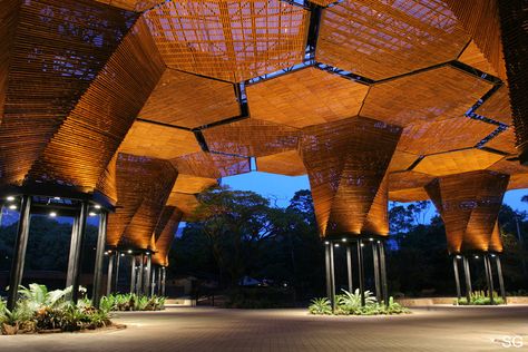 Image result for Orquideorama Iwan Baan, Tree Structure, Canopy Architecture, Wooden Canopy, Backyard Canopy, Wood Arch, Eco Architecture, Garden Canopy, Wood Architecture