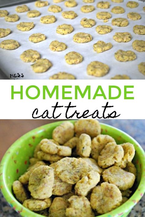 Homemade Cat Treats, Homemade Cat Treats Recipes, Diy Cat Treats, Tuna Cat Treats, Pet Treats Recipes, Homemade Cat Food, Cat Snacks, Homemade Cat, Healthy Cat