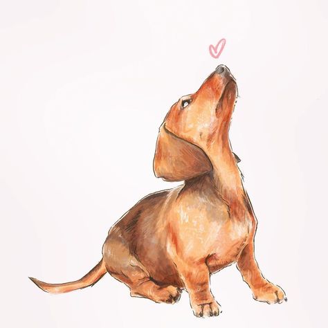 Wiener Dog Drawing, Daschund Illustration, Daschund Art, Dachshund Watercolor, Arte Dachshund, Dachshund Drawing, Doxie Art, Dog Design Art, Dachshund Illustration