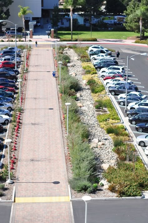 Another angle of the bioswale parking lot created by Lynn Capouya Landscape Architecture Parking Plan, Build Outdoor Kitchen, Easy Landscaping, Landscaping Supplies, Water Management, Rain Garden, Parking Design, Landscaping Tips, Landscape Projects