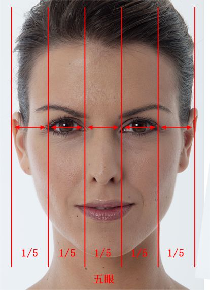 Face Proportions Drawing, Drawing The Human Head, Face Proportions, Head Anatomy, Drawing Tutorial Face, Face Measurements, Human Figure Drawing, Drawing Heads, Face Sketch