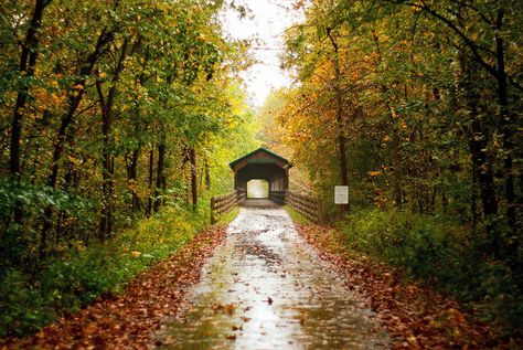 And the back road, wood-covered bridges are oozing with whimsy. | 21 Photos That'll Make You Get In The Car And Drive To Ohio Riverside Garden, Hocking Hills State Park, Cuyahoga Valley National Park, Ohio Travel, Scenic Railroads, Park In New York, Covered Bridge, Amish Country, Back Road