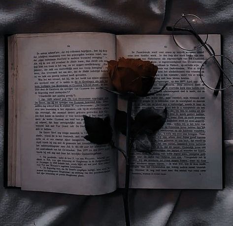 Rosé Aesthetic, Dark Academia Aesthetic, Fantasy Aesthetic, Rose Wallpaper, Dark Photography, Aesthetic Images, Red Aesthetic, Character Aesthetic, Dark Wallpaper