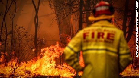 'Firenados' are wreaking havoc across Australia - CNN Bush Fire, Touching Photos, Volunteer Firefighter, Australian Bush, Australian Wildlife, The Blue Mountains, Fire Service, Fire Rescue, South Australia