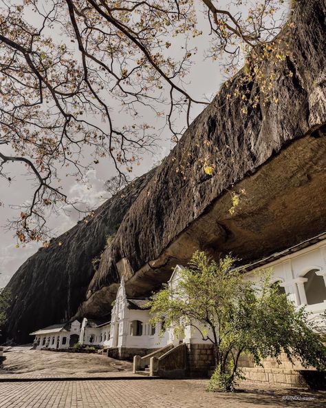 Dambulla Cave Temple is located at an elevation of 1118 feet from the sea level rises a massive rock from the surrounding plains of Dambulla of 600 feet high and over 2000 feet in length. It is home to the Worlds most acclaimed Cave complex of magnificent Buddha Images and Rock Paintings of vivid colours and shapes constructed and painted from around 2nd Century BC (Anuradhapura era ) and continued up to the Kandyan era of the 18th Century. Sinhalese people call it as ' Dambulu Gala' ( Dambul... Dambulla Cave Temple, Cave Temple, Sea Level Rise, Buddha Image, Travel Tourism, Sea Level, 18th Century, Painted Rocks, Vivid Colors