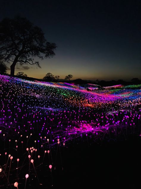 Field Of Lights, Night Park, Glowing Flowers, Wedding Stage Design, Hawaiian Decor, Scenery Pictures, Backyard Lighting, Kyushu, The Terrace