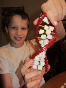 DNA edible craft - hahaha, if I only give my kids sugar when doing projects like this they are going to be begging me to learn about new things! :) Apologia General Science, Science Labs, General Science, Science Reading, Edible Crafts, Summer Reading Program, Library Programs, History Of Science, Reading Program