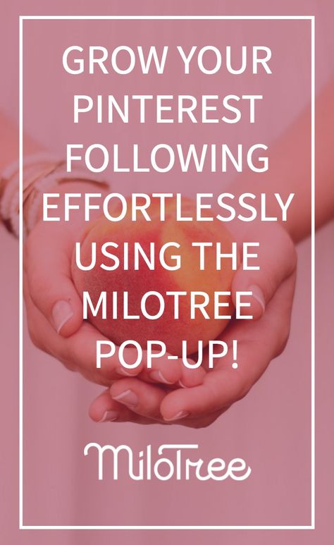 Get More Followers on Pinterest - Simple Pin Media How To Get Famous On Pinterest, People To Follow On Pinterest, How To Get Famous, Grow Pinterest Followers, Simple Pin Media, Monetize Pinterest, Grow Pinterest, Smart Woman, Facebook Followers