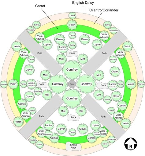 A Permaculture Idea... plant in Guilds, where each of the plants in the group provides value for each of the other plants in the group.  Enhancing the productivity and health of the entire Guild. Fruit Trees Garden Design, Tree Guild, Tree Garden Design, Fruit Tree Garden, Garden Planning Layout, Food Forest Garden, Areas Verdes, Permaculture Design, Permaculture Gardening