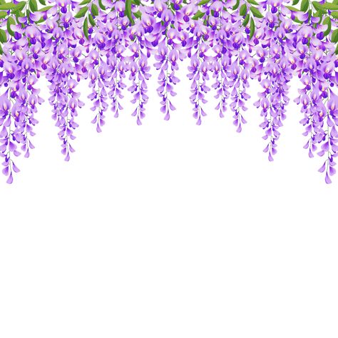 Bridgerton Flowers, Wisteria Trellis, Wisteria Plant, Purple Flower Bouquet, Wisteria Flower, Wisteria Flowers, Flex Design, Fancy Writing, Flower Png Images