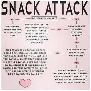 Are you feeling hungry? What To Do When Your Hungry, What To Do When Hungry, Harsh Motivation, Summer Bodies, Not Hungry, Healthy Low Calorie Meals, Food C, 90 Day Challenge, Healthy Groceries