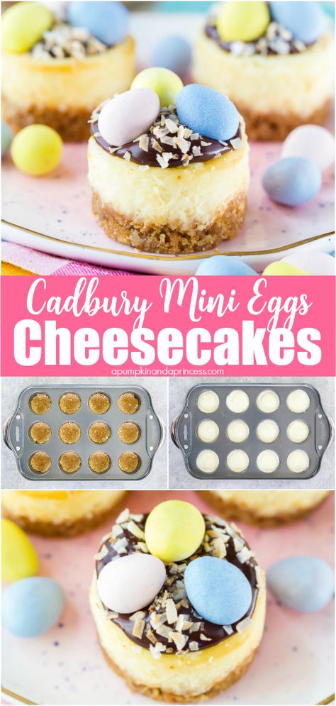 Easter Mini Cheesecakes, Cadbury Recipes, Cheesecake Easter, Cadbury Mini Eggs, Mini Cheesecake Recipes, Easter Desserts Recipes, Easter Baking, Eggs Easter, Mini Eggs