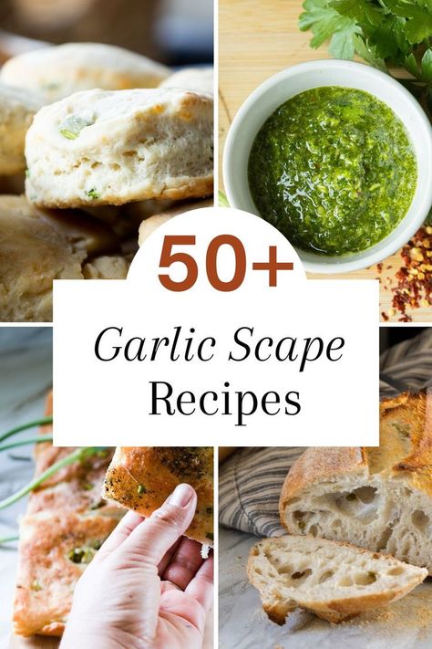 Garlic Stems Recipe, Garlic Shoots Recipes, Scape Recipes, Scapes Recipes, Garlic Scapes Recipes Easy, Recipes With Garlic Scapes, Garlic Scape Relish, Garlic Recipe, Recipes For Garlic Scapes