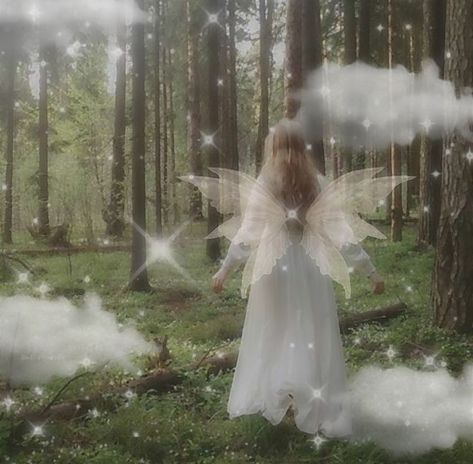 Fairycore Pfp, Profile Pictures, The Magic, Create Your, Create Your Own, Forest, Angel