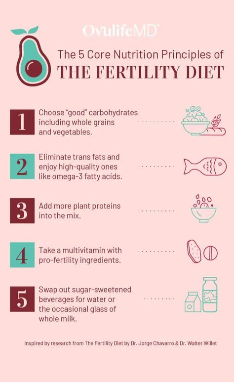 Woman's Health, Fertility Smoothie, Fertility Nutrition, Increase Fertility, Food Myths, Fertility Foods, Fertility Health, Fertility Awareness, Fertility Diet