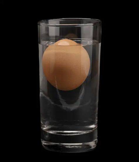 The egg float test, also known as the floating test for eggs, is a popular method to determine the freshness of an egg. It involves placing an egg in a water bowl and observing whether it floats or sinks. The result is supposed to indicate the age of the egg – a fresh egg will sink to the bottom, while an old egg will float to the top. Bad Eggs Float, Eggs Float Or Sink, Egg Test In Water, Test Eggs In Water, Egg Floating In Salt Water, Egg Test For Freshness, Egg Float Test, Egg Test, Floating Eggs