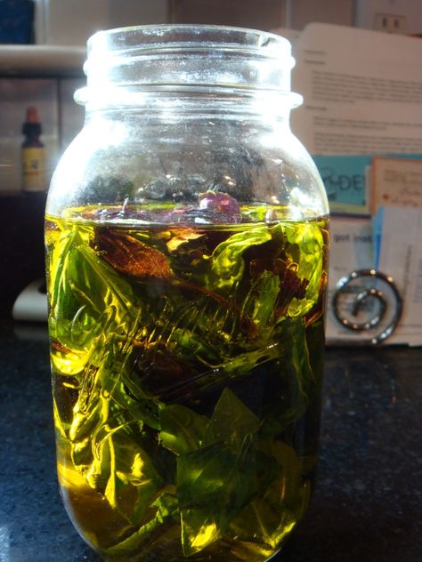 Make basil and garlic infused olive oil. If using garlic store in fridge after steeping and straining. How To Make Basil Infused Olive Oil, Basil Infused Olive Oil, Infused Oil Recipes, Herb Infused Olive Oil, Infused Vinegars, Garlic Infused Olive Oil, Basil Olive Oil, Boston Food, Flavored Olive Oil