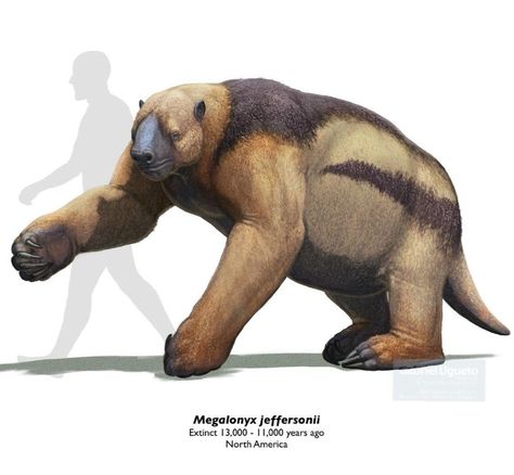 Pleistocene Megafauna, Pleistocene Animals, Stone Age Animals, Mega Fauna, Extinct Mammals, Dinosaurs Extinction, Prehistoric Fauna, Prehistoric Wildlife, Prehistoric World