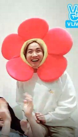 Jhope Flower, Bts Derp Faces, Hope Flower, Jhope Cute, Funny Wallpaper, Hoseok Bts, About Bts, Bts J Hope, Meme Faces