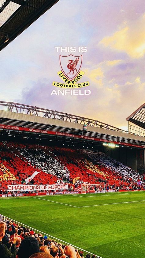 Anfield Wallpaper, Liverpool Fc Tattoo, Lfc Wallpaper, Liverpool Football Club Wallpapers, Ynwa Liverpool, Liverpool Anfield, Liverpool Soccer, Liverpool Wallpapers, Liverpool Team