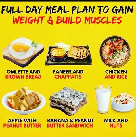 weight gain breakfast ideas
weight gain
weight gain diet
weight gain tips
weight gain nutrition plan
weight gain foods Calorie Surplus, Complex Carbs, Weight Gainer, Brown Bread, To Gain Weight, Nutrient Dense Food, Gain Weight, Lean Protein, Nutrient Dense