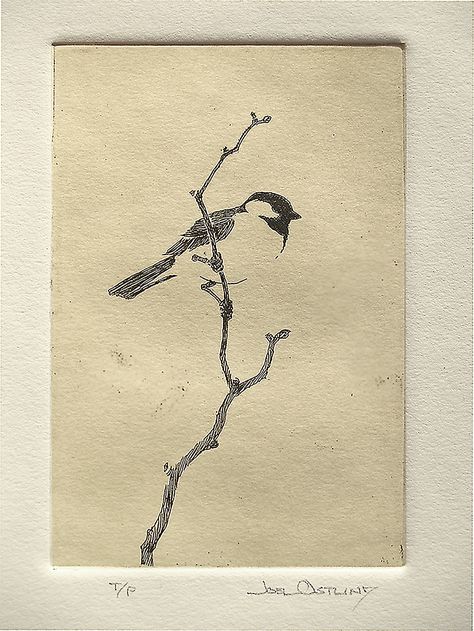 Joel Ostlind, "Chickadee T/P" Copper Plate Etching 6"x 4" Chickadee Drawing, Copper Plate Etching, Birds Robin, Paper Exhibition, Poked Tattoo, Dean Mitchell, Herding Cattle, Draw Birds, Copper Etching