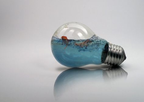 Fish in a light bulb, on ArtStation at https://www.artstation.com/artwork/zP18qD Write To Me, Work For You, Made By Me, E Mail, Light Bulb, I Can, Photoshop, Fish