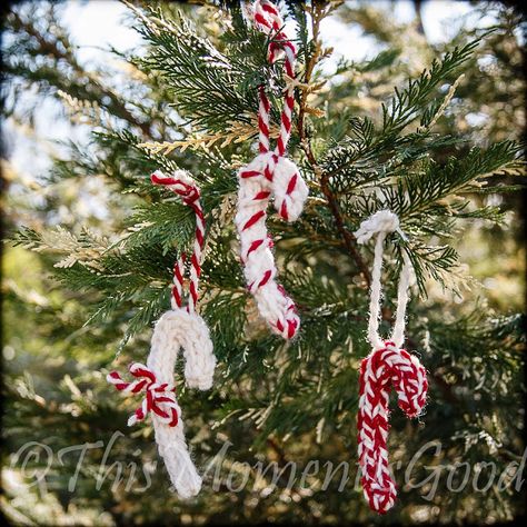 Loom Knit these  Candy Cane Ornaments!                                                                                                                                                                                 More Candy Cane Ornaments, Knit Christmas Ornaments, Knitted Christmas Decorations, Loom Knitting Tutorial, Spool Knitting, Knifty Knitter, Loom Knitting Projects, French Knitting, Candy Cane Ornament