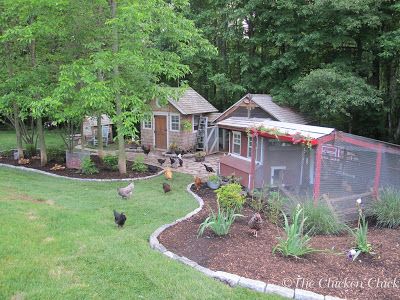 Coop Landscaping, Chicken Coop Inside, Cute Chicken Coops, Chicken Coop Run, Chicken Coop Designs, Chicken Chick, Chicken Garden, Building A Chicken Coop, Chicken Coop Plans