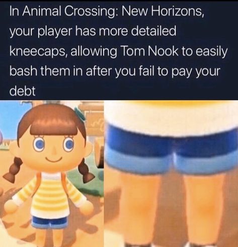 Funny Acnh, Tom Nook, Bird Clothing, Cozy Gaming, Animal Crossing Funny, Animal Crossing Memes, Laughing Jokes, Star Dust, Game Codes