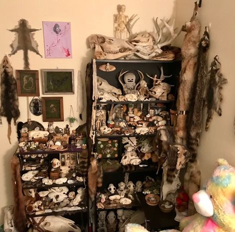 Room Aesthetic White, Bone Collecting, Desenhos Van Gogh, Hippie Bedroom Decor, Oddities Decor, Hippie Bedroom, Taxidermy Art, Vulture Culture, Bone Crafts