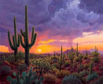 Stephen Morath, Landscape References, Southwestern Wall Art, Weather Art, Desert Beauty, Pretty Views, Sky Art Painting, Night Sky Painting, Forest Sunset