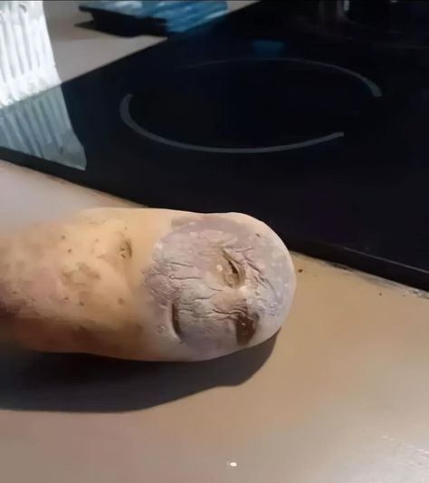 I don’t know if I should cook this potato, or take it to the hospital. 😅 Potato Meme, Potato Funny, Image Meme, How To Cook Potatoes, The Hospital, I Don T Know, Don T Know, Country Life, I Don't Know