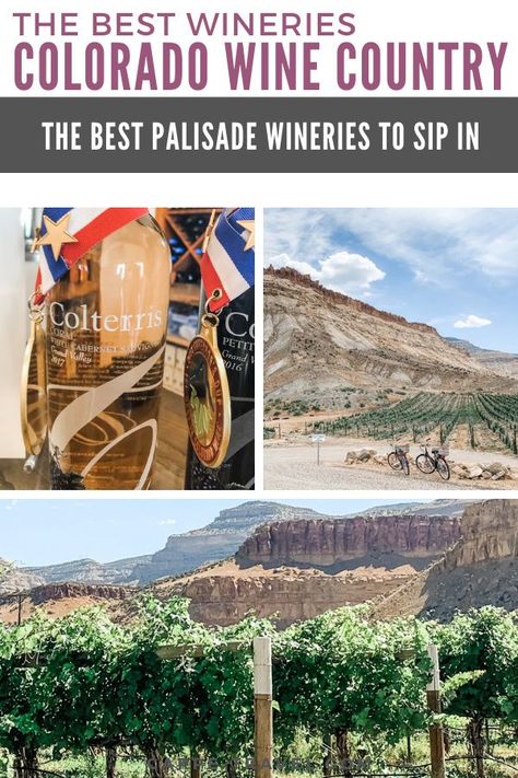 In the heart of the Grand Valley you'll find Colorado wine country and 30  Palisade wineries winelovers will want to sip in. Here are our favorites. Palisades Colorado, Couples Trips, Colorado Family Vacation, Palisade Colorado, Glenwood Springs Colorado, Spring Wine, Western Colorado, Denver Travel, Colorado National Monument