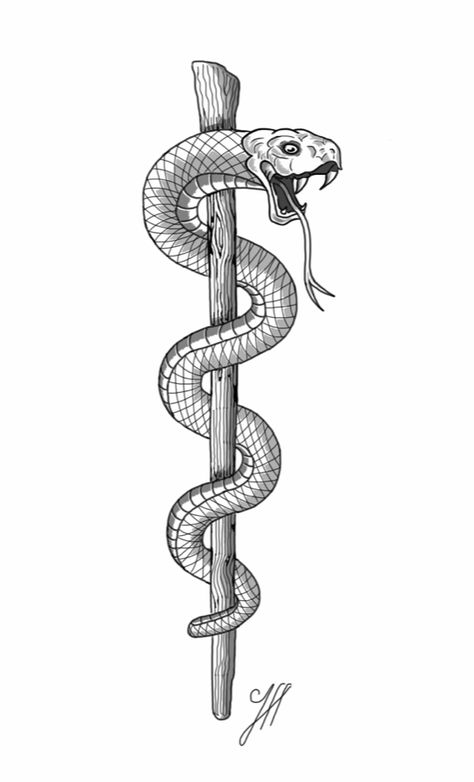 Snake Around Staff Tattoo, Snake And Staff Tattoo, Moses Staff Tattoo, Medical Snake Tattoo, Staff Of Asclepius Tattoo, Asclepius Aesthetic, Rod Of Asclepius Tattoo Feminine, Rod Of Asclepius Tattoo, Scepter Tattoo