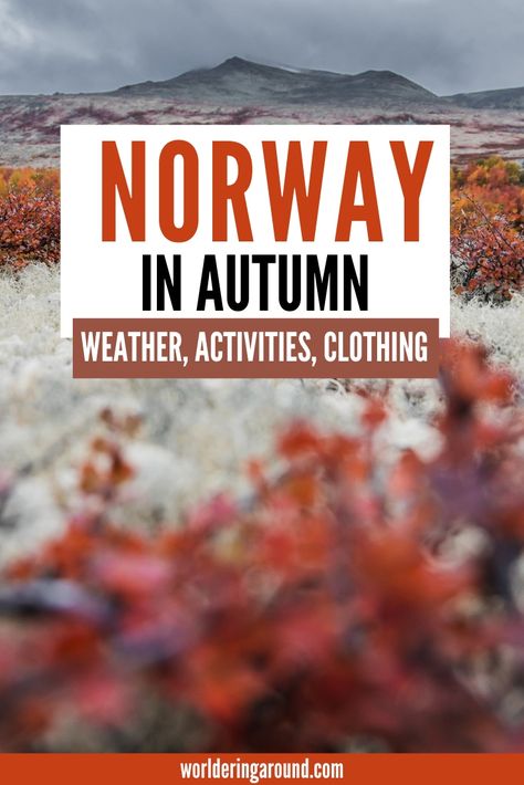 Norway in autumn - what to do in Norway in the fall, the weather in autumn in Norway, what clothes to wear in Norway in autumn and what to pack + more #norway #fall #autumn #scandinavia Norway Autumn Outfits, Norway Packing List Fall, What To Wear In Norway In September, Norway Fall Outfits, Autumn Weather Activities, Norway Packing List, Norway Autumn, Norway Clothing, Scandinavian Cruise