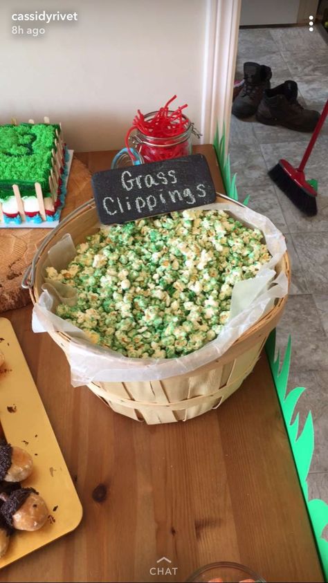 Grass Theme Party, Landscaping Party Theme, Lawnmower Birthday Party Ideas, Lawn Mower Party Food, Lawn Mowing Birthday Party, Landscaping Birthday Party, Lawn Mower Party Ideas, Lawn Mower Birthday Party Ideas, Lawn Mower Themed Birthday Party