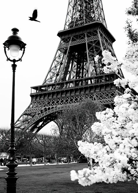 Black And White Paris Aesthetic, Paris Poster Aesthetic, Paris Black And White Aesthetic, Romantic Black And White, Pretty Streets, Black And White Paris, Street In Paris, Window Poster, Paris Black And White