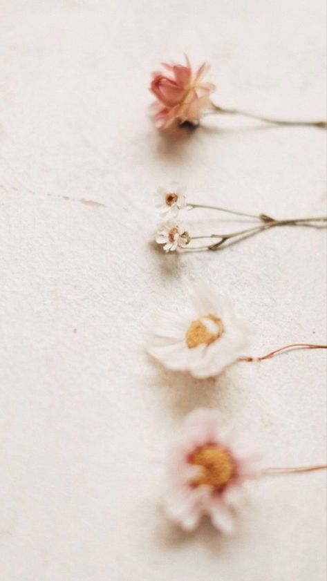 Warm neutral flowers Wallpaper Flower, Flower Iphone Wallpaper, Background Ideas, Phone Background, Beige Aesthetic, Aesthetic Aesthetic, Aesthetic Iphone, Background Vintage, Ipad Wallpaper