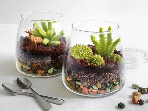 Edible Terrarium, Chocolate Rocks, Diy Succulent Terrarium, Diy Edible, Beautiful Terrariums, Crassula Ovata, Terrarium Diy, Botanical Decor, Succulent Terrarium