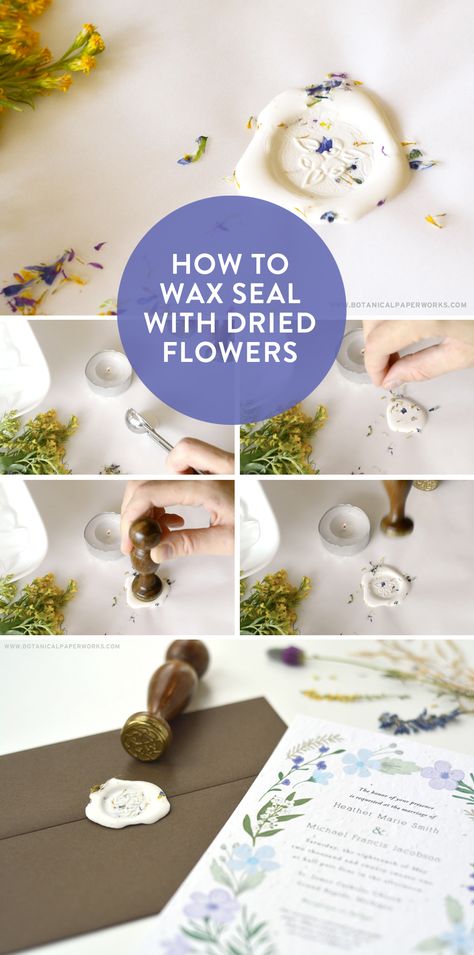 Wildflower Wax Seal, Wax Seal Tutorial, How To Wax Seal A Bottle, Wax Seal Dried Flowers, Wax Seal Ideas Fun, Wedding Invitations With Wax Seal And Dried Flowers, Diy Sealing Wax Recipe, Wax Seal Inspiration, How To Make Wax Seals