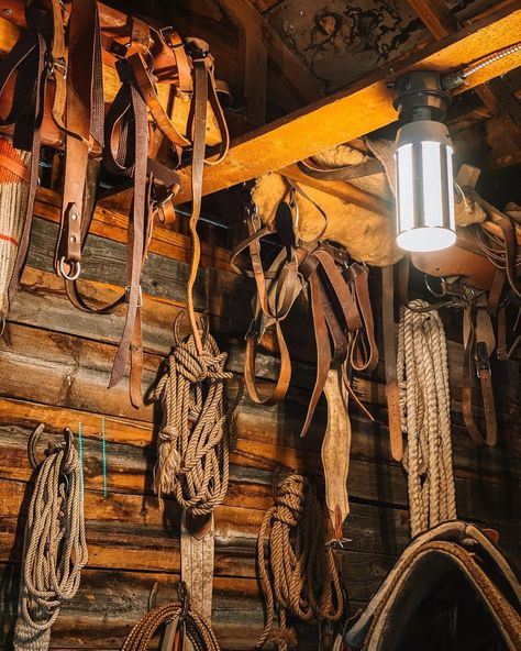 1800s Ranch House, Wyoming Cattle Ranch, Ranch House Aesthetic Interior, Canada Ranch Aesthetic, Old Farm Aesthetic, Ranch Hand Aesthetic, Emmie Sperandeo, Ranching Aesthetic, Hillbilly Halloween