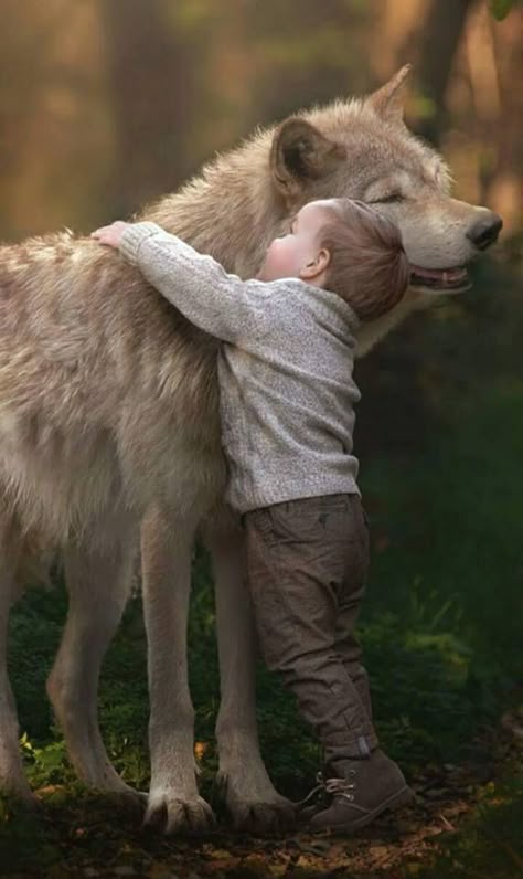 The Boy and the Wolf Wolf Love, Beautiful Wolves, Wolf Pictures, Wolf Spirit, Wolf Dog, A Wolf, The Wolf, Animal Love, Beautiful Animals