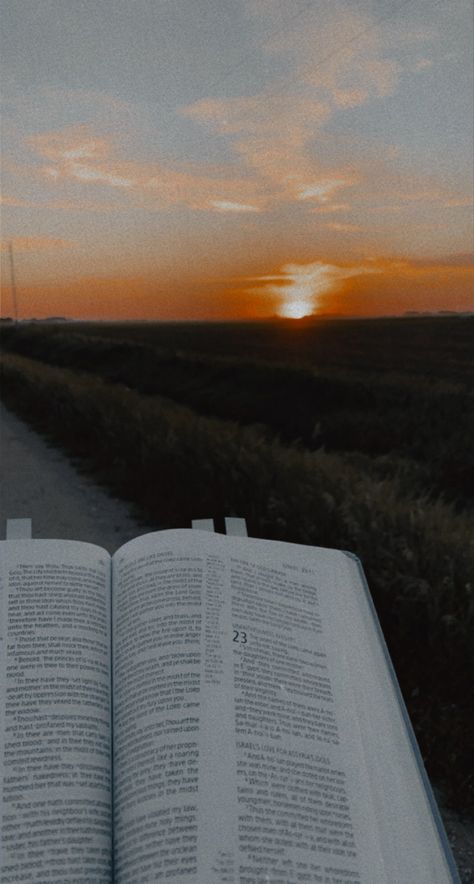 reading the Bible Reading The Bible Aesthetic, The Bible Aesthetic, Bible Reading Aesthetic, Reading Bible Aesthetic, Bible Aesthetic, Reading Bible, Reading The Bible, Reading Aesthetic, Hope For The Future