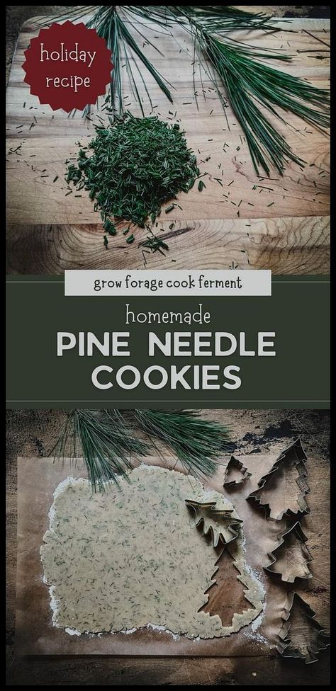 Try these homemade pine needle cookies for a unique holiday treat. Shaped like Christmas trees and made with real pine needles, they offer a fresh, festive flavor. Perfect for winter celebrations and a great way to use foraged pine needles. Find more christmas cookies, Christmas recipes, holiday desserts, and Christmas Desserts & Christmas Holiday Cakes at growforagecookferment.com. Pine Cookies, Cookies Christmas Recipes, Unique Holiday Treats, Holiday Cakes Christmas, Winter Baking Recipes, Vanilla Extract Recipe, Maple Cookies, Wild Food Foraging, Recipes Holiday